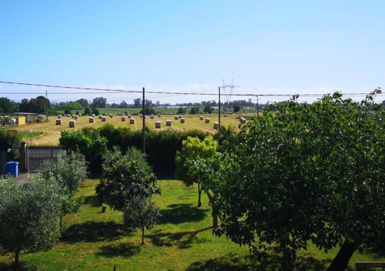 Eco House San Michele Hostel Borgo San Michele  Kültér fotó